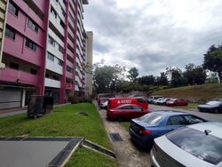 Yio Chu Kang Green (D20), Shop House #460162271